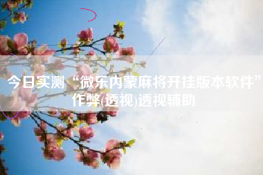 今日实测“微乐内蒙麻将开挂版本软件”作弊(透视)透视辅助