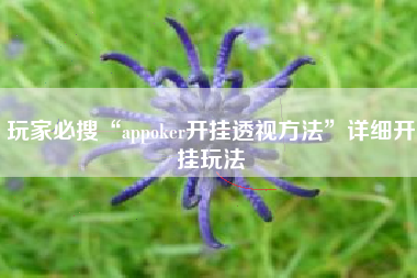 玩家必搜“appoker开挂透视方法”详细开挂玩法