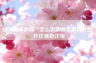 安装程序教程“怎么识别微乐麻将开挂	”开挂辅助详细