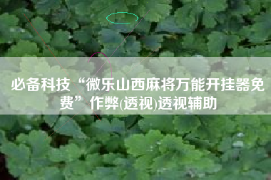必备科技“微乐山西麻将万能开挂器免费”作弊(透视)透视辅助