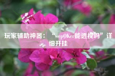 玩家辅助神器：“wepOKer能透视吗”详细开挂