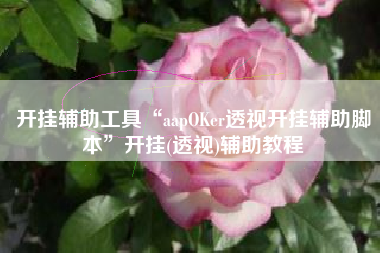 开挂辅助工具“aapOKer透视开挂辅助脚本	”开挂(透视)辅助教程