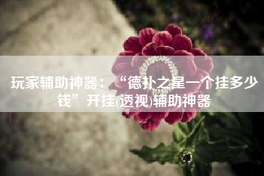 玩家辅助神器：“德扑之星一个挂多少钱	”开挂(透视)辅助神器