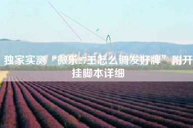 独家实测“微乐27王怎么调发好牌	”附开挂脚本详细
