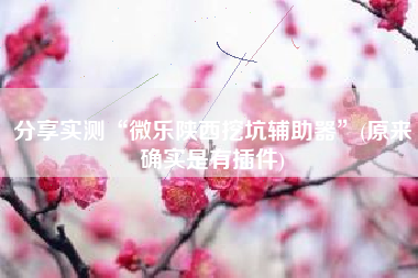 分享实测“微乐陕西挖坑辅助器”(原来确实是有插件)