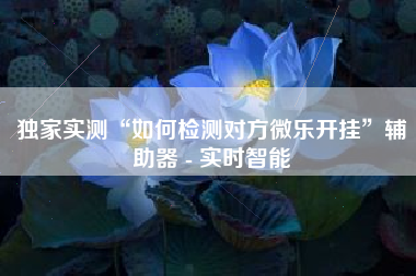 独家实测“如何检测对方微乐开挂	”辅助器 - 实时智能