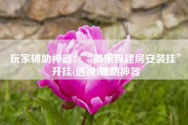 玩家辅助神器：“微乐自建房安装挂”开挂(透视)辅助神器