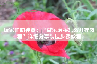 玩家辅助神器：“微乐麻将怎么开挂教程”详细分享装挂步骤教程