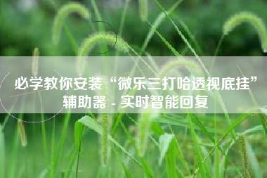 必学教你安装“微乐三打哈透视底挂”辅助器 - 实时智能回复