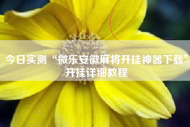 今日实测“微乐安徽麻将开挂神器下载”开挂详细教程