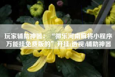 玩家辅助神器：“微乐河南麻将小程序万能挂免费版的	”开挂(透视)辅助神器