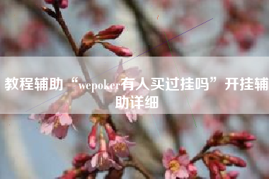 教程辅助“wepoker有人买过挂吗”开挂辅助详细