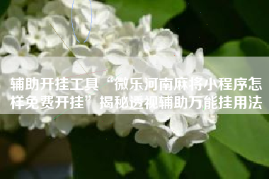 辅助开挂工具“微乐河南麻将小程序怎样免费开挂”揭秘透视辅助万能挂用法