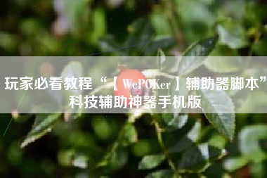 玩家必看教程“【WePOKer】辅助器脚本	”科技辅助神器手机版