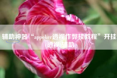 辅助神器“appoker透视作弊挂教程”开挂(透视)辅助