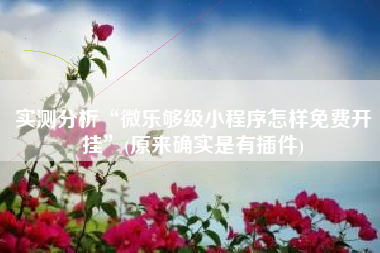 实测分析“微乐够级小程序怎样免费开挂	”(原来确实是有插件)