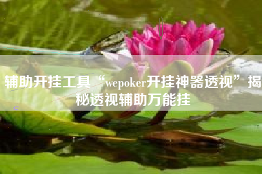 辅助开挂工具“wepoker开挂神器透视”揭秘透视辅助万能挂