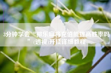 3分钟学会“微乐麻将充值能提高胜率吗”(透视)开挂详细教程