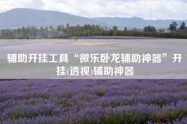 辅助开挂工具“微乐卧龙辅助神器	”开挂(透视)辅助神器