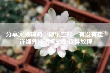 分享实测辅助“微乐三打一有没有挂”详细外挂透视辅助软件教程