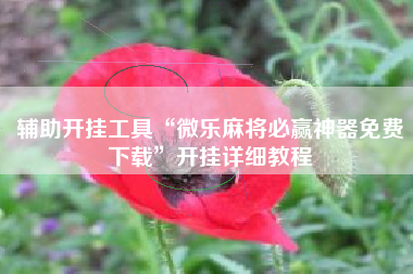 辅助开挂工具“微乐麻将必赢神器免费下载”开挂详细教程