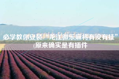 必学教你安装“龙江微乐麻将有没有挂”(原来确实是有插件