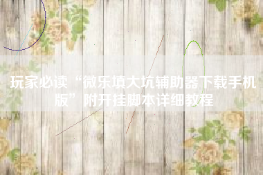 玩家必读“微乐填大坑辅助器下载手机版”附开挂脚本详细教程