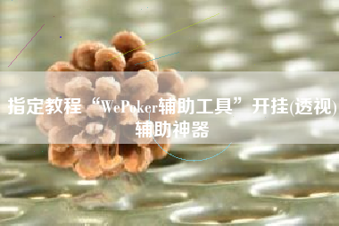 指定教程“WePoker辅助工具”开挂(透视)辅助神器