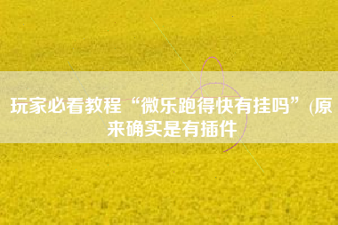 玩家必看教程“微乐跑得快有挂吗”(原来确实是有插件