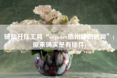 辅助开挂工具“wepoker德州辅助透视	”(原来确实是有插件)