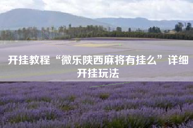 开挂教程“微乐陕西麻将有挂么”详细开挂玩法