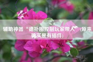 辅助神器“德扑圈控制玩家带入	”(原来确实是有插件)