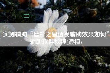 实测辅助“德扑之星透视辅助效果如何	”辅助软件教程(透视)