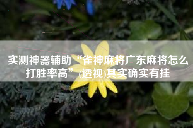 实测神器辅助“雀神麻将广东麻将怎么打胜率高”(透视)其实确实有挂