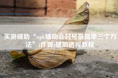 实测辅助“wpk辅助会封号最简单三个方法”(作弊)辅助透视教程