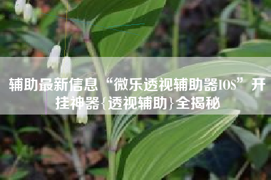 辅助最新信息“微乐透视辅助器IOS”开挂神器{透视辅助}全揭秘
