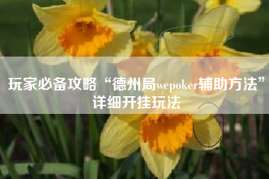 玩家必备攻略“德州局wepoker辅助方法	”详细开挂玩法