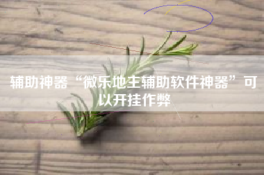 辅助神器“微乐地主辅助软件神器	”可以开挂作弊