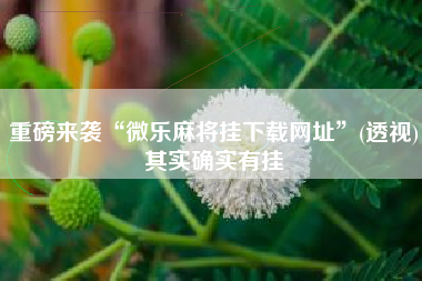 重磅来袭“微乐麻将挂下载网址”(透视)其实确实有挂