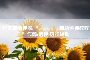 玩家辅助神器:“wepokerplus辅助透视教程	”作弊(透视)透视辅助