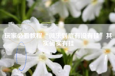 玩家必看教程“微乐到底有没有挂	”其实确实有挂