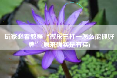 玩家必看教程“微乐三打一怎么能抓好牌”(原来确实是有挂)