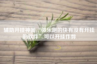辅助开挂神器“微乐跑的快有没有开挂的软件”可以开挂作弊