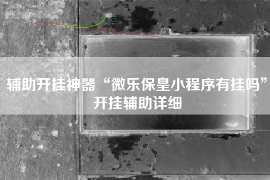 辅助开挂神器“微乐保皇小程序有挂吗”开挂辅助详细