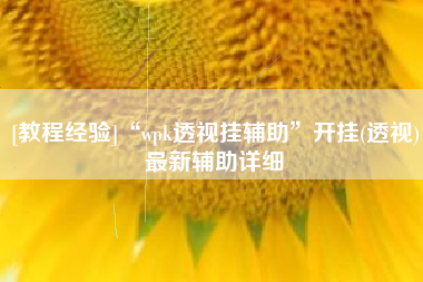 [教程经验]“wpk透视挂辅助”开挂(透视)最新辅助详细