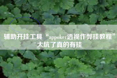 辅助开挂工具“appoker透视作弊挂教程”太坑了真的有挂
