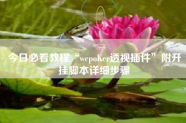 今日必看教程“wepoKer透视插件”附开挂脚本详细步骤
