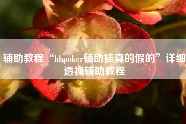辅助教程“hhpoker辅助挂真的假的”详细透视辅助教程