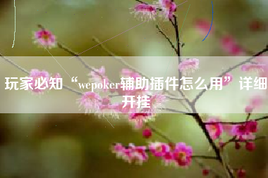 玩家必知“wepoker辅助插件怎么用”详细开挂