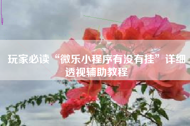 玩家必读“微乐小程序有没有挂”详细透视辅助教程